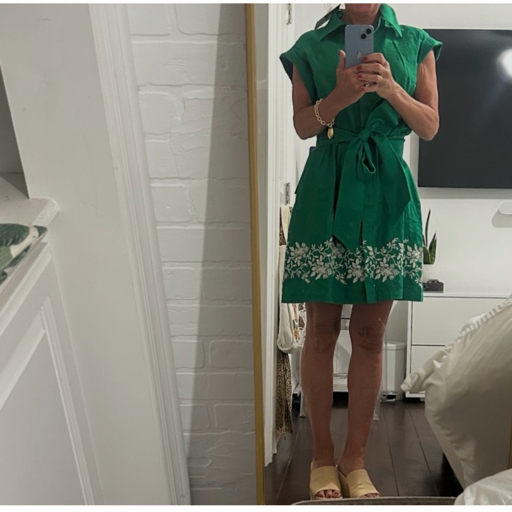 Tuckernuck Garden Green Embroidered Cotton Linen Mini Callie Dress - Picture 2 of 6
